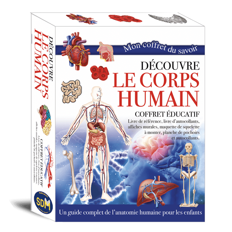 Coffret éducatif corps humain enfant avec livre, activités, squelette et affiches. Une découverte ludique de l’anatomie dès 6 ans.